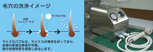 毛穴の洗浄イメージ